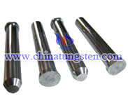 Tungsten Carbide Punch picture