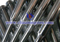 Tungsten Carbide Punch picture