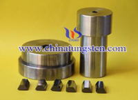 Tungsten Carbide Punch picture