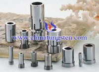 Tungsten Carbide Punch picture