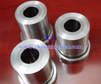 Tungsten Carbide Punch Picture